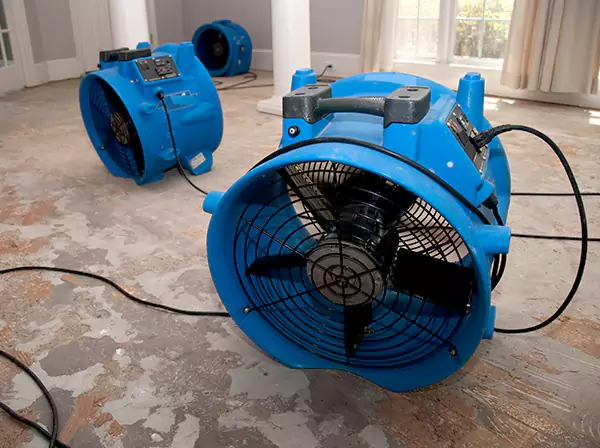 Water Damage Reconstruction in Palmetto