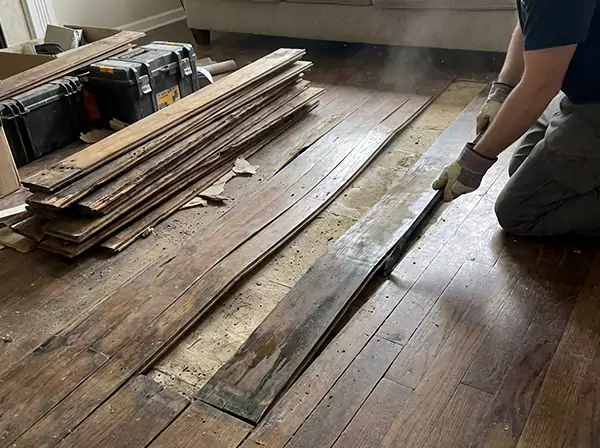 Water Damage Drying in Palmetto