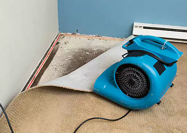 Your Water Damage Experts in Palmetto, GA