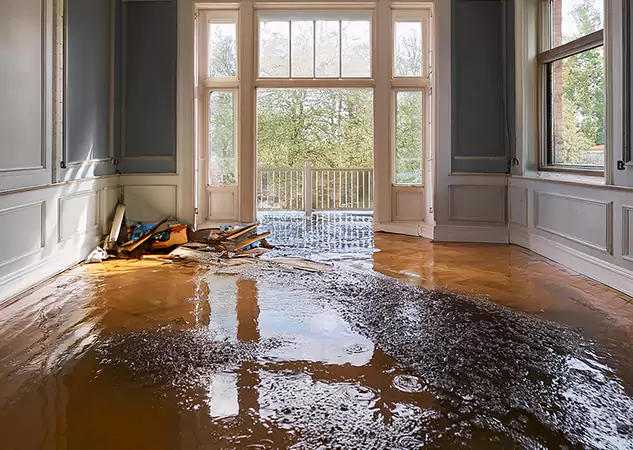Your Disaster Restoration Services in Palmetto, GA