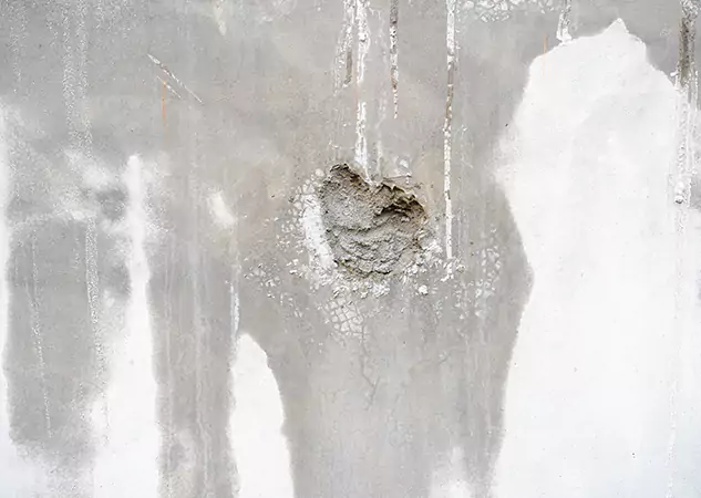 Your Mold Mitigation Solutions Partner in Palmetto, GA