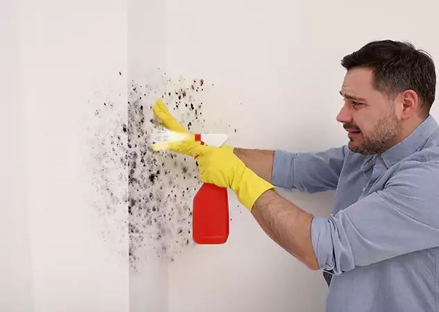 Your Water Mold Fire Restoration Partner in Palmetto, GA