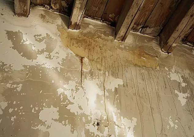 Your Trusted Restoration Company in Palmetto, GA
