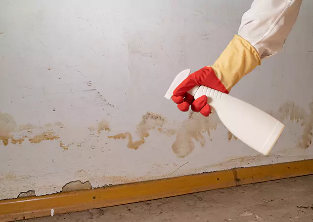 Your Water Restoration and Mold Remediation Specialists in Palmetto, GA