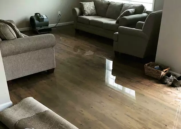 Your Trusted Restoration Company in Palmetto, GA
