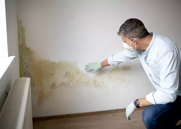 Reach Our Remediation Team Before Damage Grows in Palmetto, GA!