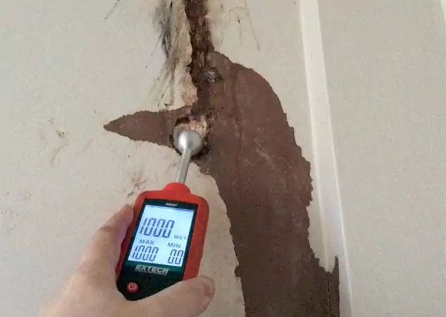 Your Water Damage Assessment Partner in Palmetto, GA