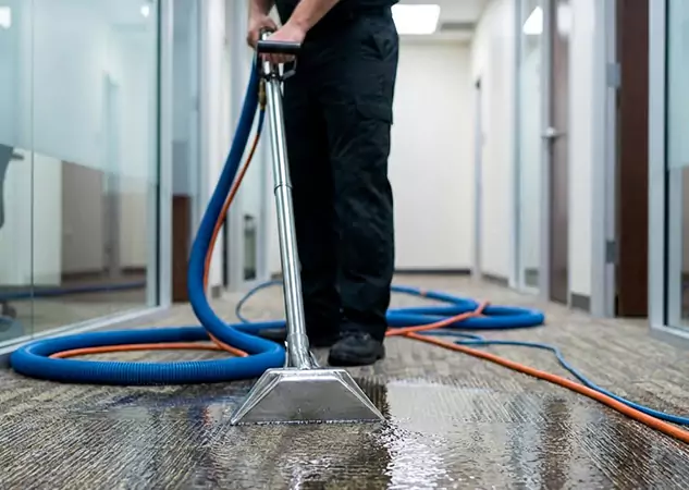 Your Water Damaged Carpet Restoration Partner in Palmetto, GA
