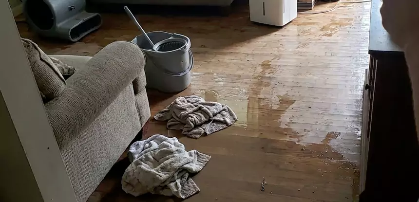 Professional Basement Water Remediation Services in Palmetto, GA