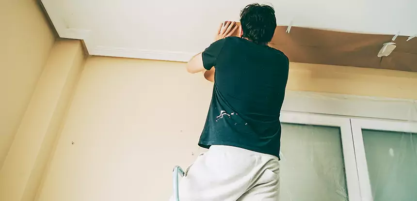 Ceiling Water Damage Repair in Palmetto