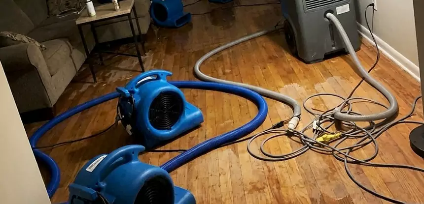 Basement Flood Restoration Services in Palmetto