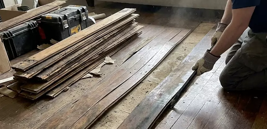 Wood Rot and Fungus Repair in Palmetto