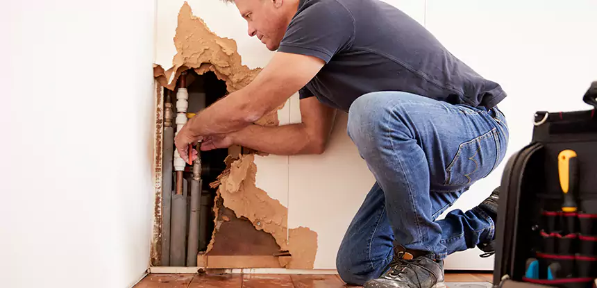 Broken Pipe Water Damage Repair in Palmetto