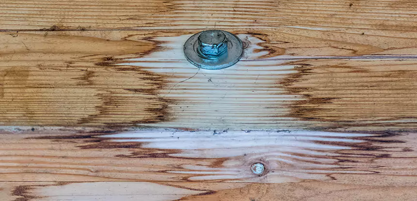 Fixing Water Marks on Wood in Palmetto