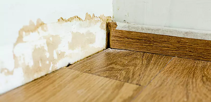 Professional Fix Water Damaged Wood Services in Palmetto, GA