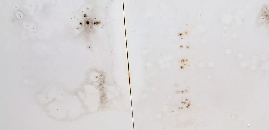 Professional Water Stain Repair Services in Palmetto, GA