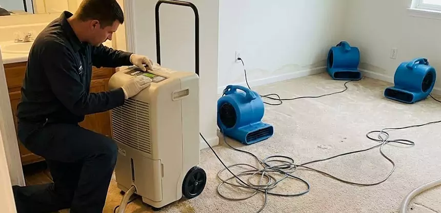 Professional Wet Carpet Removal Services in Palmetto, GA