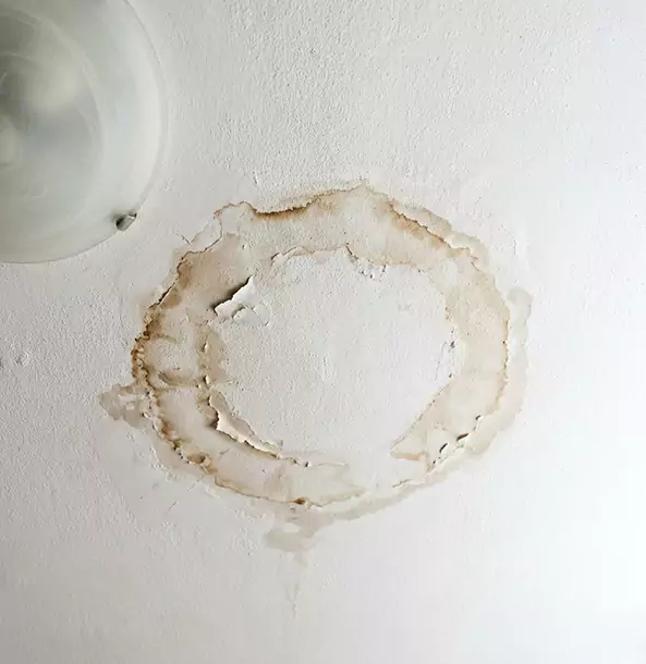 Why Palmetto Property Owners Choose Palmetto Restoration Pro for Ceiling Water Damage Restoration?