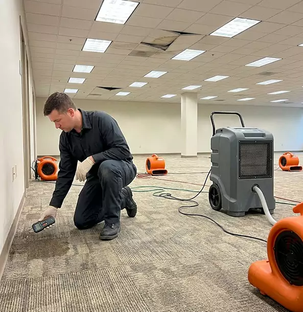Why Palmetto Businesses Choose Palmetto Restoration Pro for Water Cleanup?