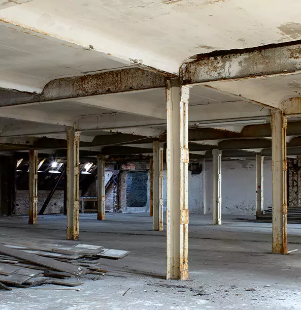 What Makes Our Crawl Space Services Stand Out in Palmetto, GA?