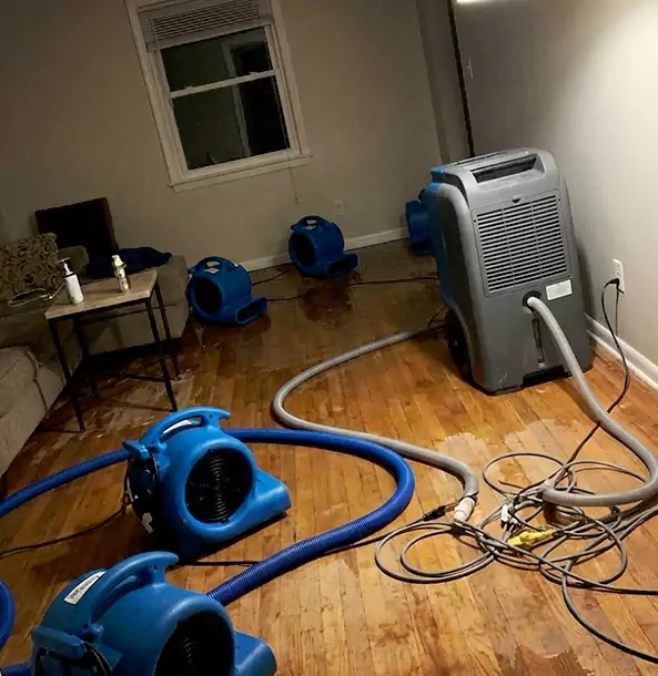 Why Palmetto Calls Palmetto Restoration Pro First for Emergency Restoration?