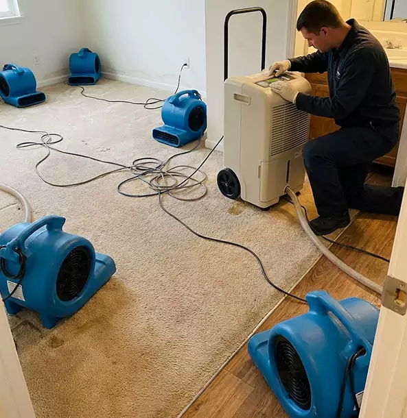 Why Palmetto Homeowners Choose Palmetto Restoration Pro?