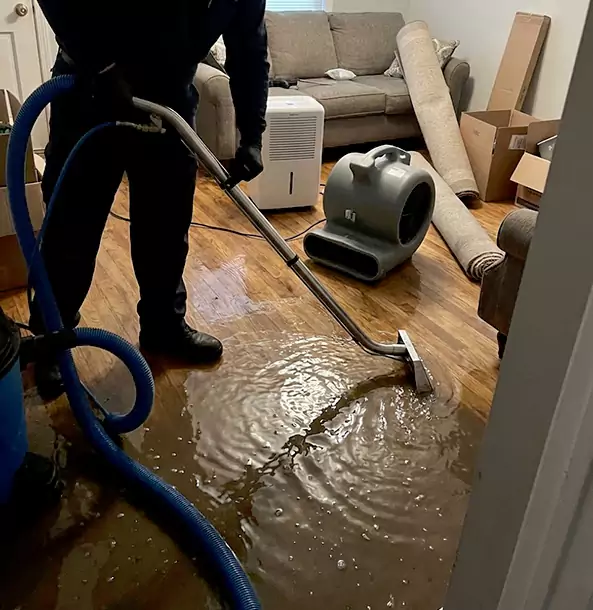 Why Palmetto Trusts Palmetto Restoration Pro for Flood Cleanup?