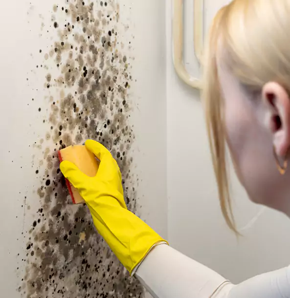 Why Palmetto Restoration Pro Leads Mold Remediation in Palmetto?