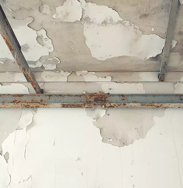 Why Palmetto Restoration Pro Is the Right Choice in Palmetto, GA?