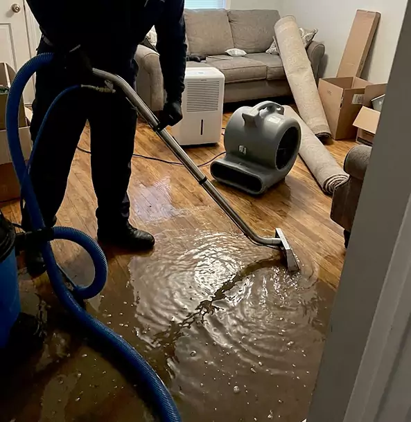 Why Palmetto Trusts Palmetto Restoration Pro for Sewage Cleanup?