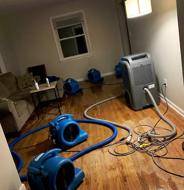 Why Palmetto Property Owners Rely on Palmetto Restoration Pro for Remediation?