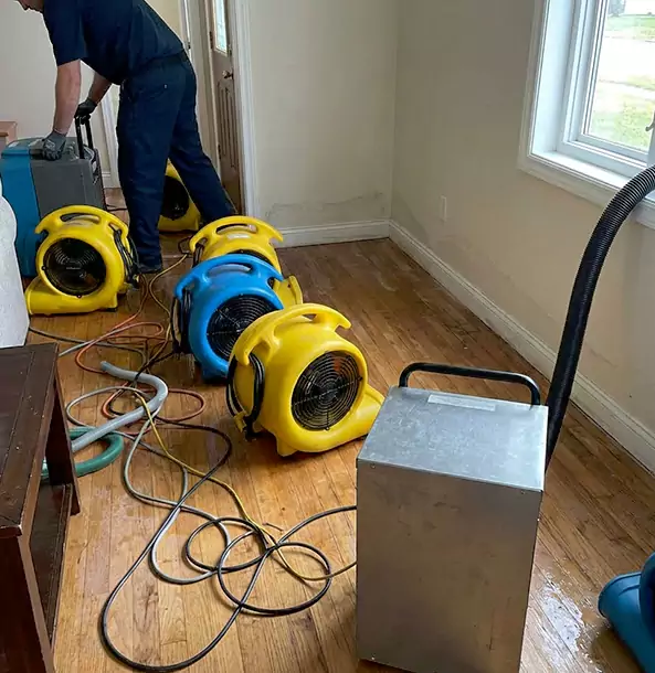 Why Palmetto Property Owners Choose Palmetto Restoration Pro for Remediation?