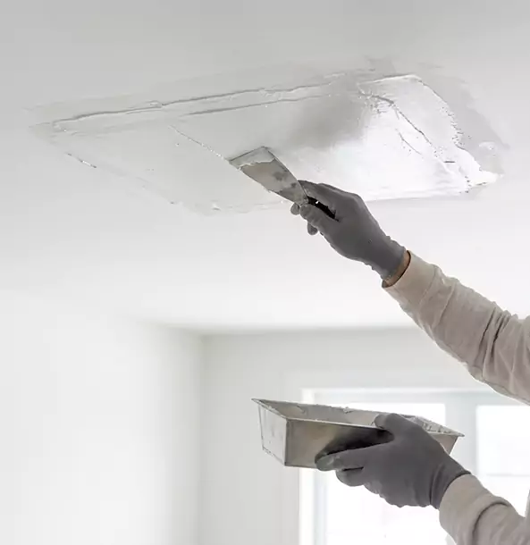 Why Palmetto Homeowners Trust Palmetto Restoration Pro for Ceiling Water Damage Repair?