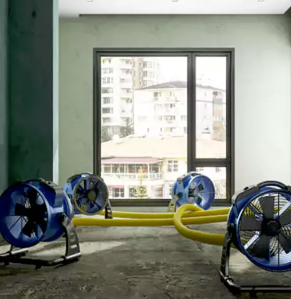 Why Palmetto Property Owners Trust Palmetto Restoration Pro for Water Damage Drying?