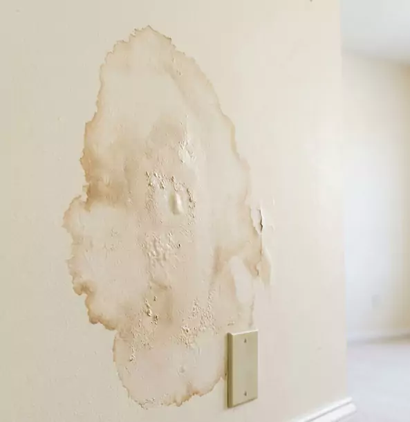 Why Palmetto Homeowners Trust Palmetto Restoration Pro for Drywall Restoration?