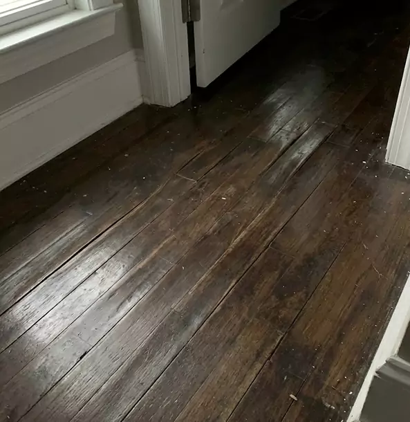 Why Palmetto Homeowners Trust Palmetto Restoration Pro to Fix Water Damaged Wood?