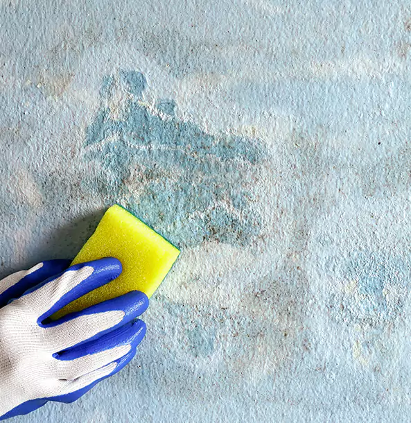 Why Palmetto Restoration Pro Is the Right Choice in Palmetto, GA?