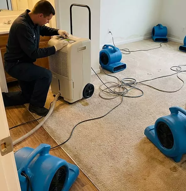 Why Palmetto Homeowners and Businesses Trust Palmetto Restoration Pro for Carpet Drying?