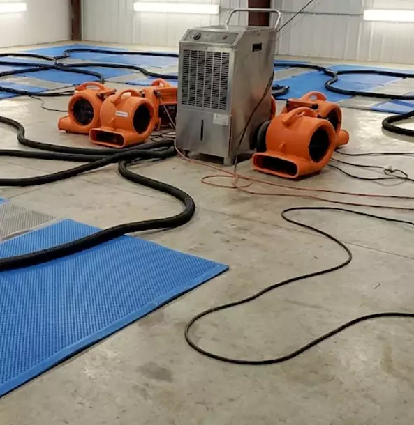 Why Palmetto Homeowners and Businesses Choose Palmetto Restoration Pro for Wet Carpet Removal?