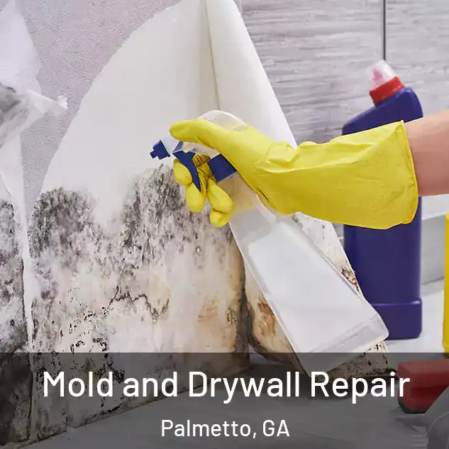  Mold and Drywall Repair Palmetto, GA