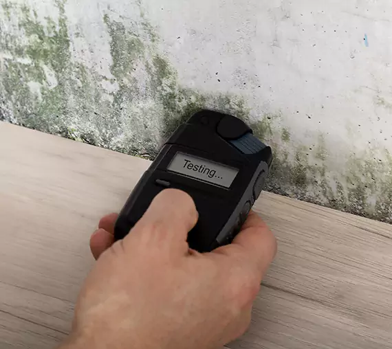 Mold Remediation Service Palmetto