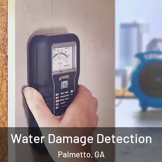  Water Damage Detection Palmetto, GA
