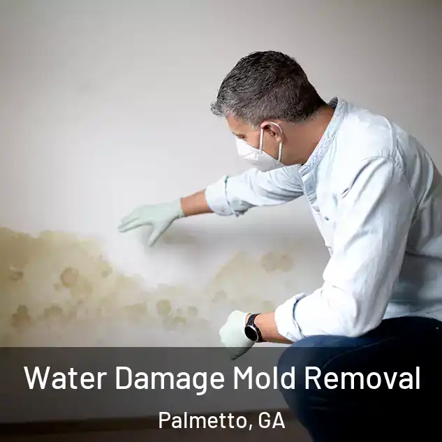  Water Damage Mold Removal Palmetto, GA